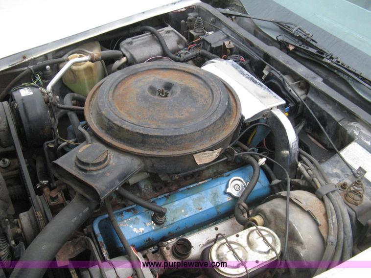 image for item 8111 1977 Chevrolet Corvette