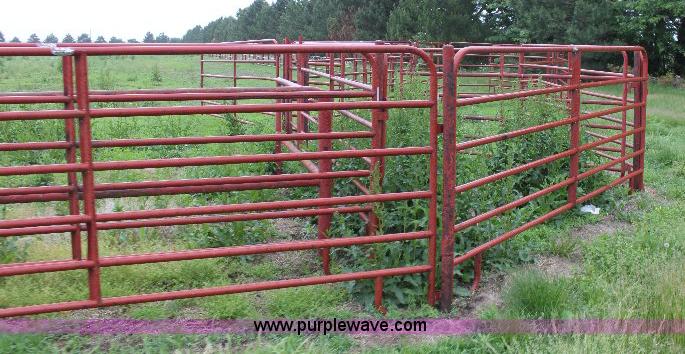 image for item 6553 Rodeo arena