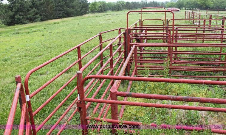 image for item 6553 Rodeo arena