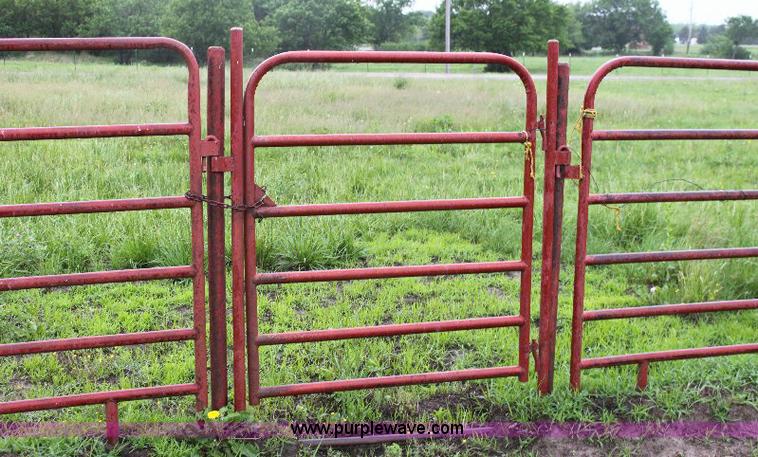 image for item 6553 Rodeo arena