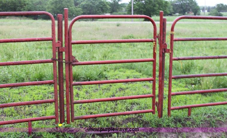 image for item 6553 Rodeo arena