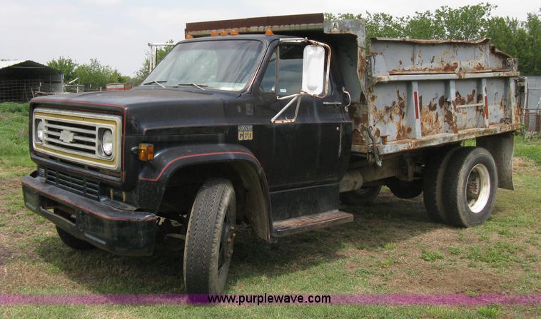 image for item 8096 1973 Chevrolet C60 dump truck