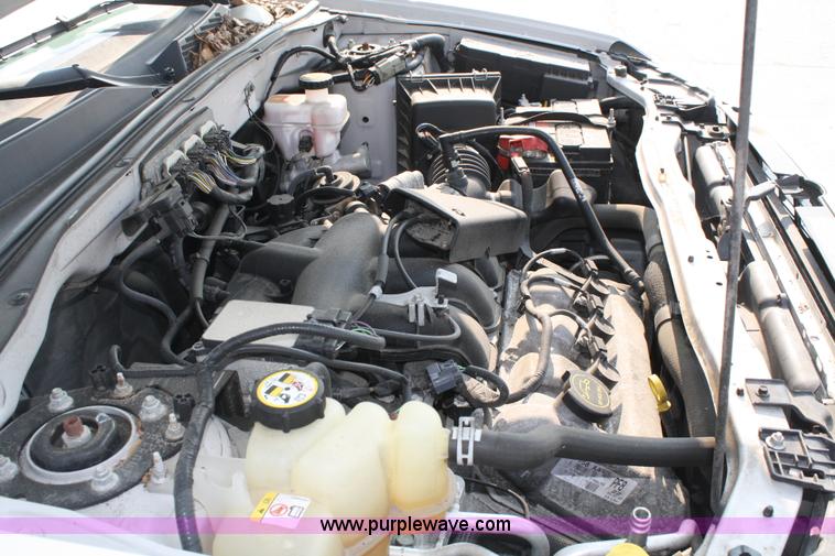 image for item 5113 2008 Ford Escape XLT SUV