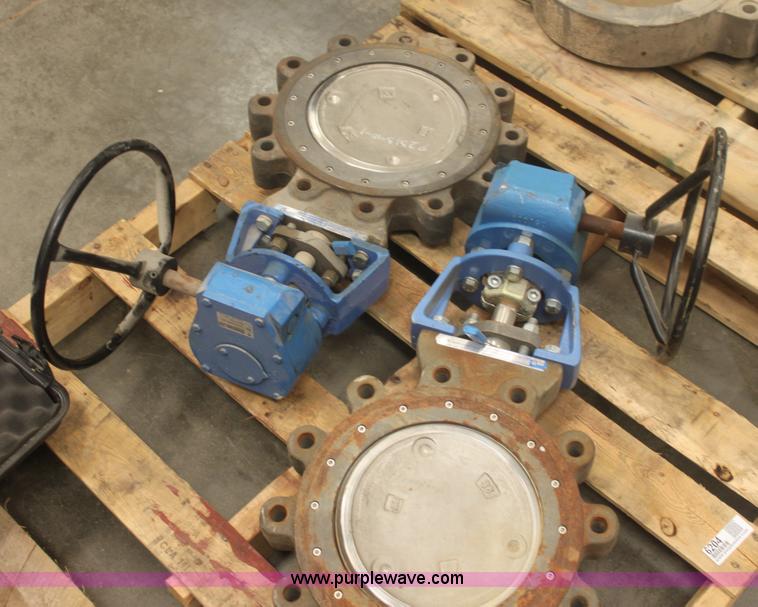 image for item 6204 (2) Jamesbury 10" wafer sphere valves