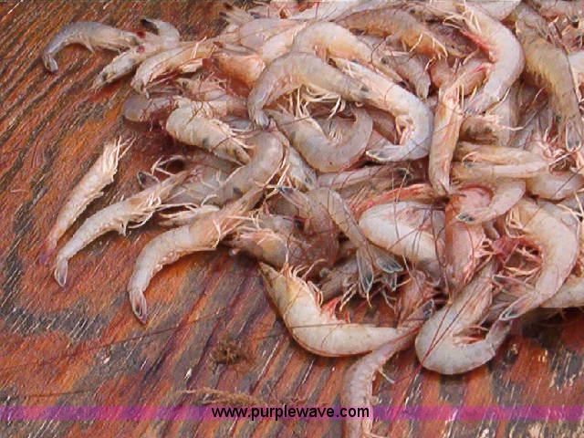 image for item A1188 1972 High Hopes shrimp boat