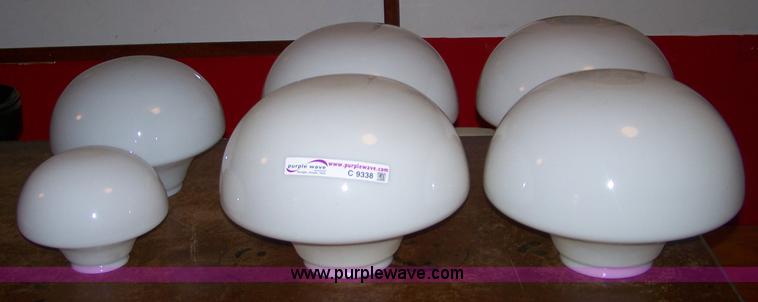 image for item C9338 Glass light globes