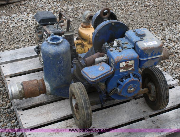 image for item 5037 (2) pumps