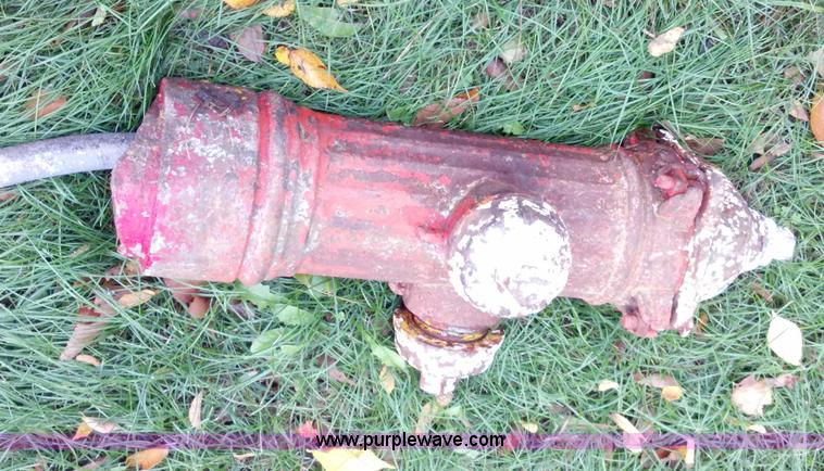 image for item A1489 Fire hydrant