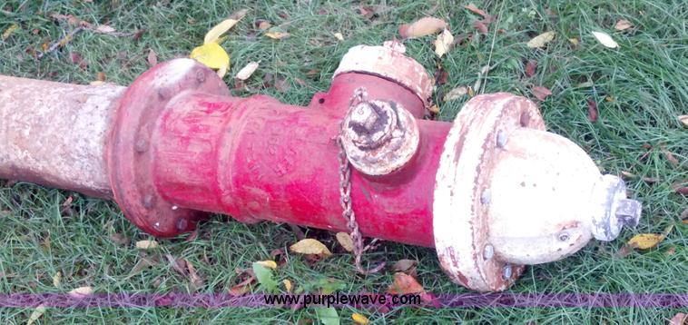 image for item A1490 Fire hydrant