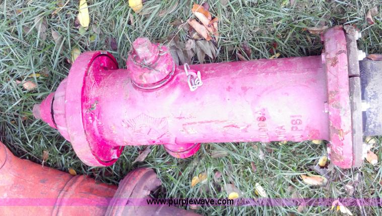 image for item A1491 Fire hydrant