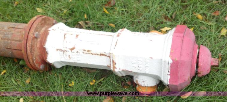 image for item F9882 Fire hydrant