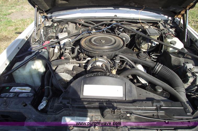 image for item C5561 1984 Cadillac Eldorado