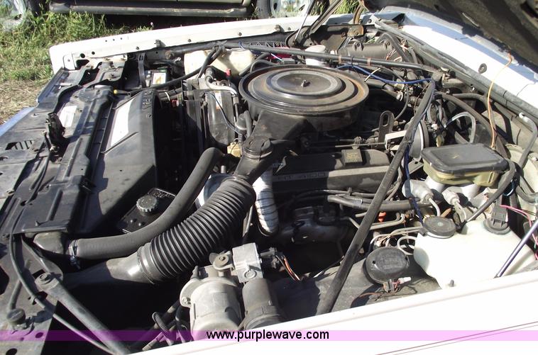 image for item C5561 1984 Cadillac Eldorado