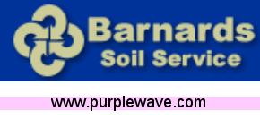 image for item A1365  Augusta #13 Nancy Raborn Ltd. Ed. Golf Print