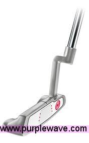 image for item A1376 Custom Made CHS Putter and 12 Pack of Titleist Pro VI Golf Balls