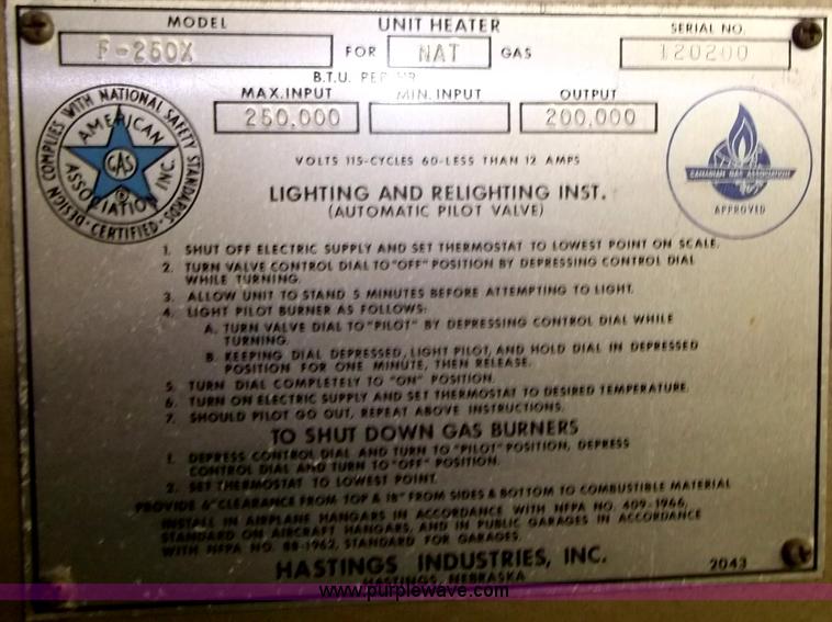 image for item G9415 Hastings NG F-250X forced air heater