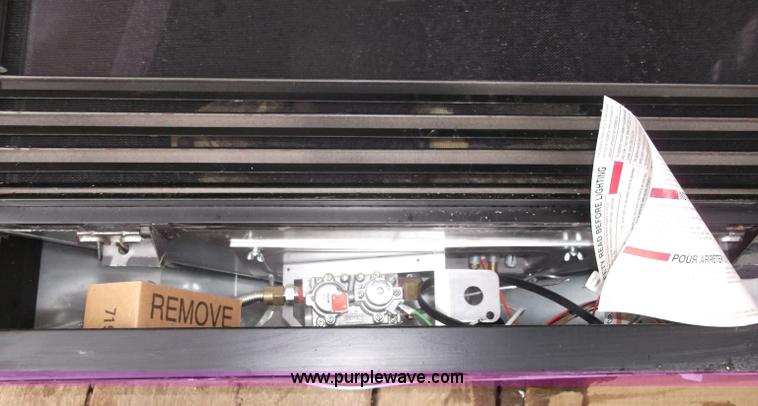 image for item G9419 2011 Fireplace insert