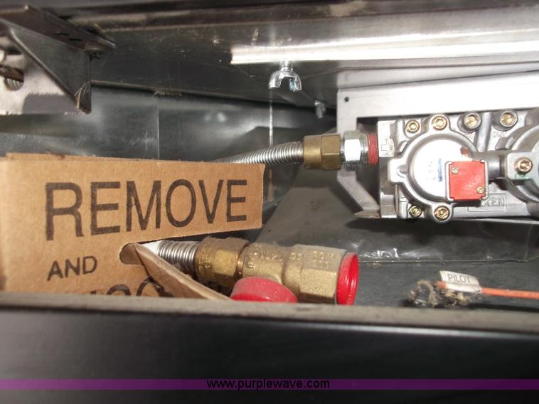 image for item G9419 2011 Fireplace insert