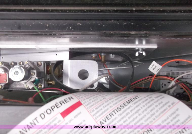 image for item G9419 2011 Fireplace insert