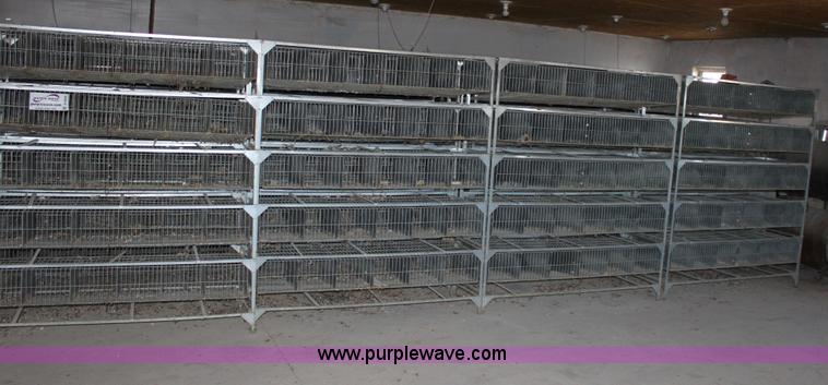 image for item B8956 (10) GQF five battery breeding pens