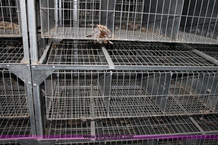 image for item B8956 (10) GQF five battery breeding pens