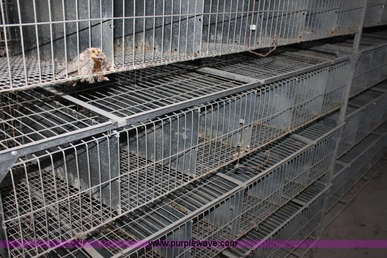 image for item B8956 (10) GQF five battery breeding pens