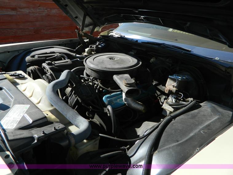 image for item D8713 1976 Buick Limited 225