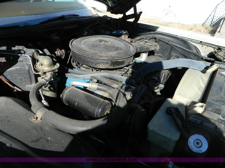 image for item D8713 1976 Buick Limited 225