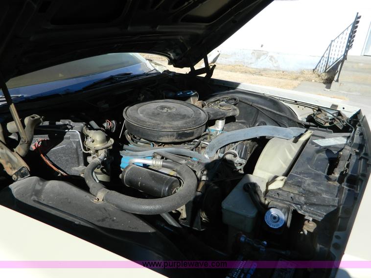 image for item D8713 1976 Buick Limited 225