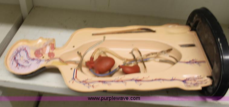 image for item A7285 Assorted Christmas decorations