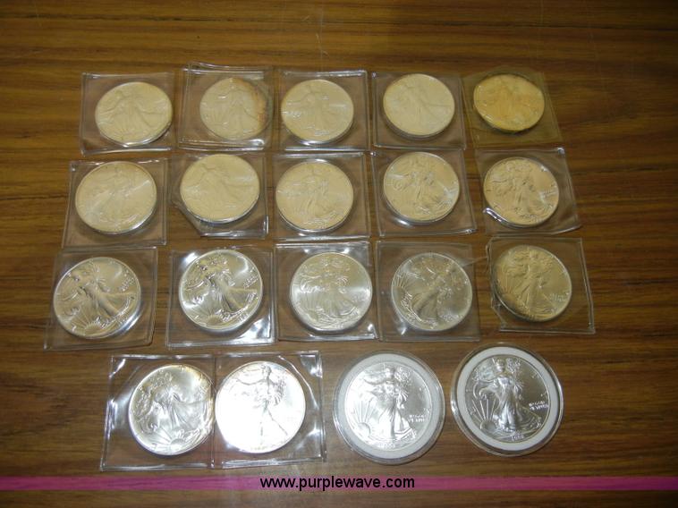 image for item S9271 (19) Silver American Eagles