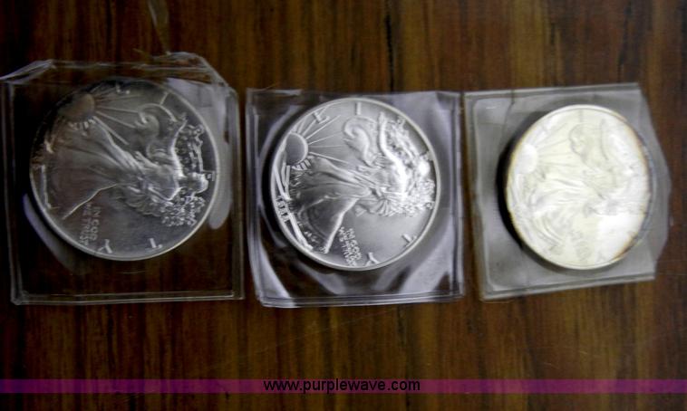 image for item S9271 (19) Silver American Eagles