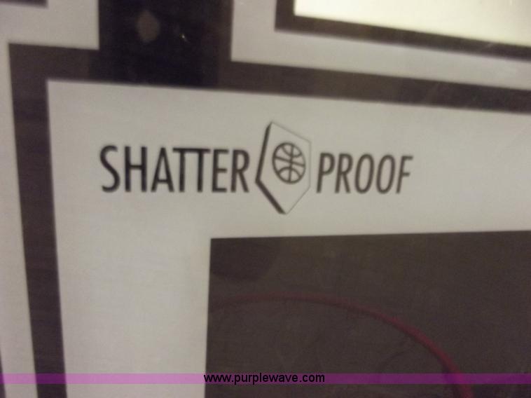 image for item C2053 53" x 34" Lifetime basketball goal