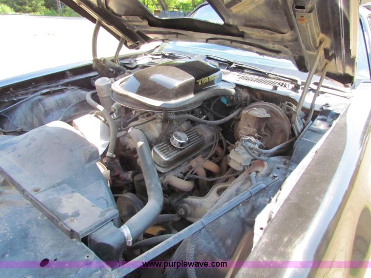 image for item B7289 1979 Pontiac Trans Am