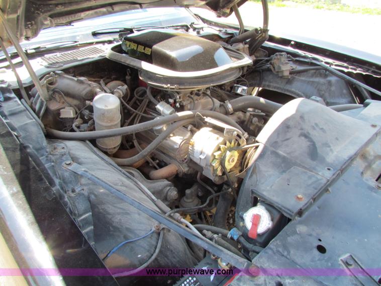 image for item B7289 1979 Pontiac Trans Am