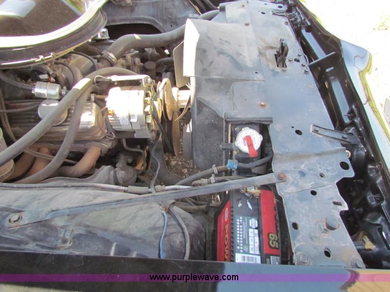 image for item B7289 1979 Pontiac Trans Am