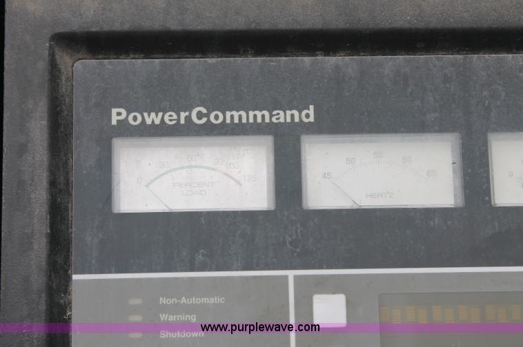 image for item C2519 Onan DFCE generator