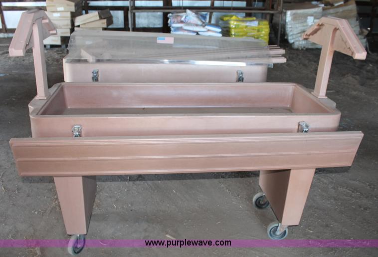 image for item L9807 (2) Cambro salad bars