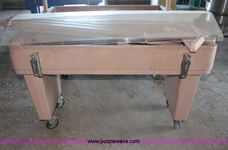 image for item L9807 (2) Cambro salad bars