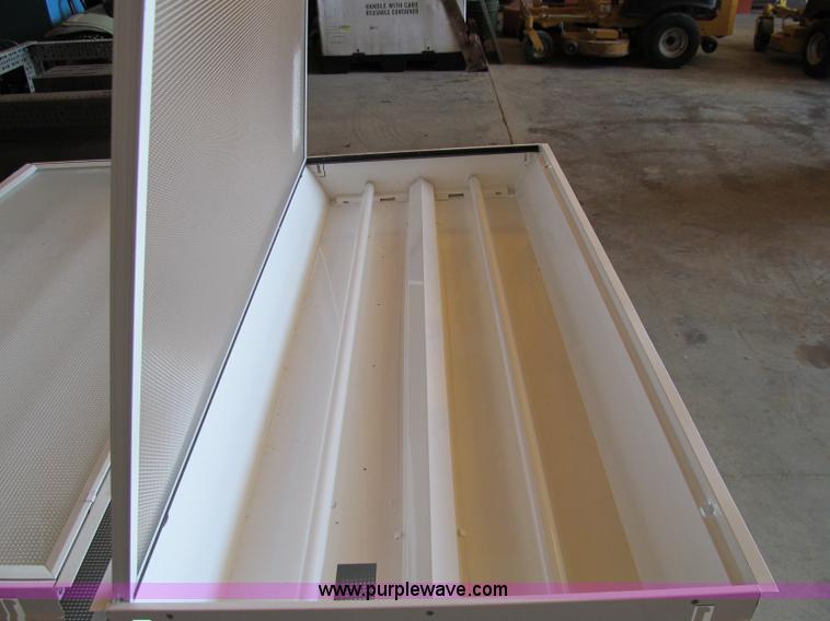 image for item A8349 (10) ceiling lights