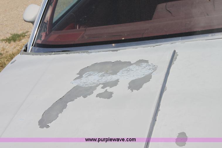 image for item D5420 1979 Oldsmobile Cutlass