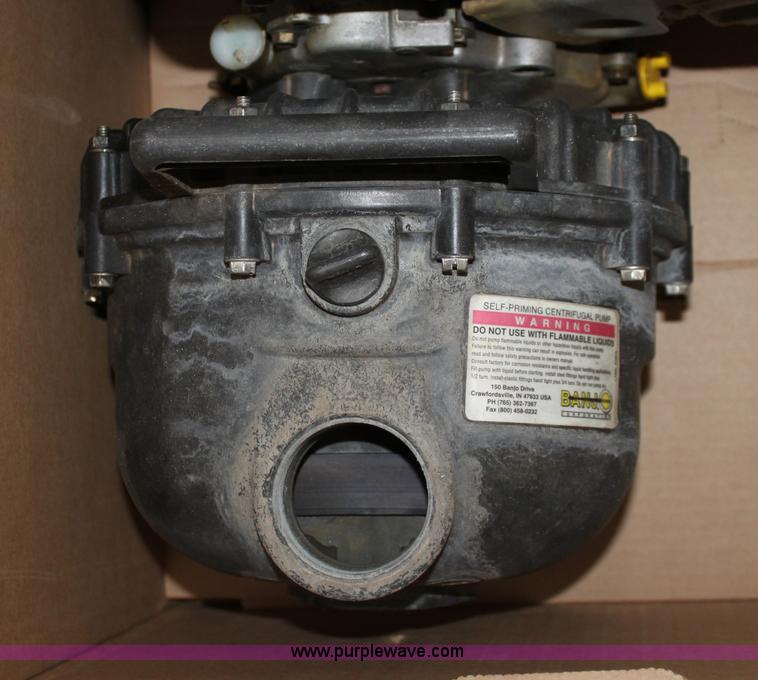 image for item D5231 Pacer transfer pump
