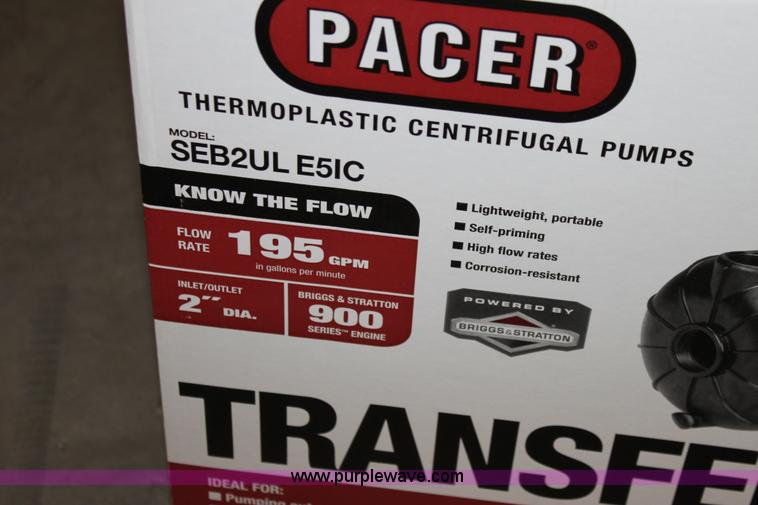 image for item D5231 Pacer transfer pump