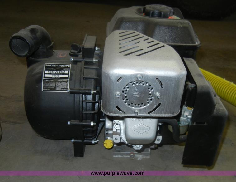 image for item N9963 Pacer water pump