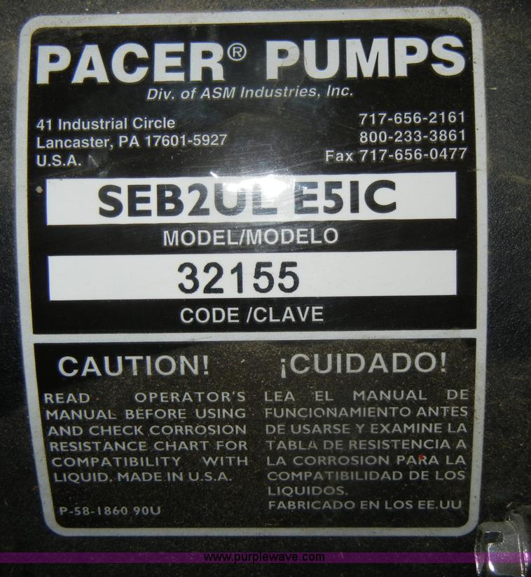 image for item N9963 Pacer water pump
