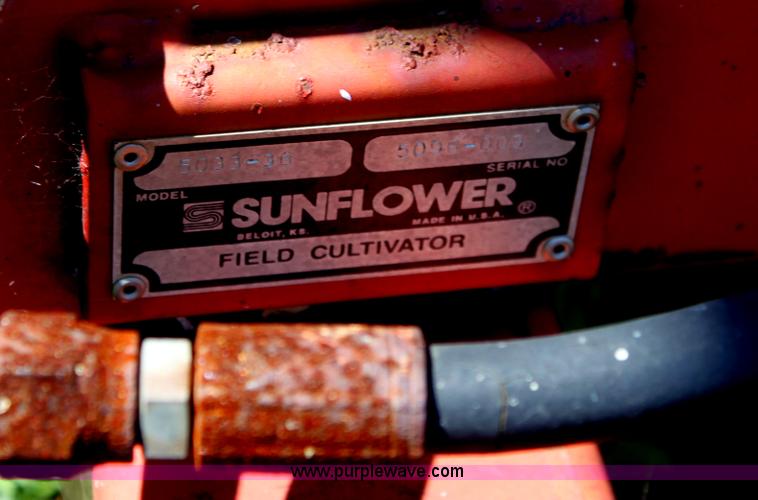 image for item D5305 Sunflower 5033 chisel