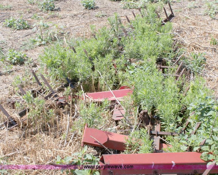 image for item D5305 Sunflower 5033 chisel