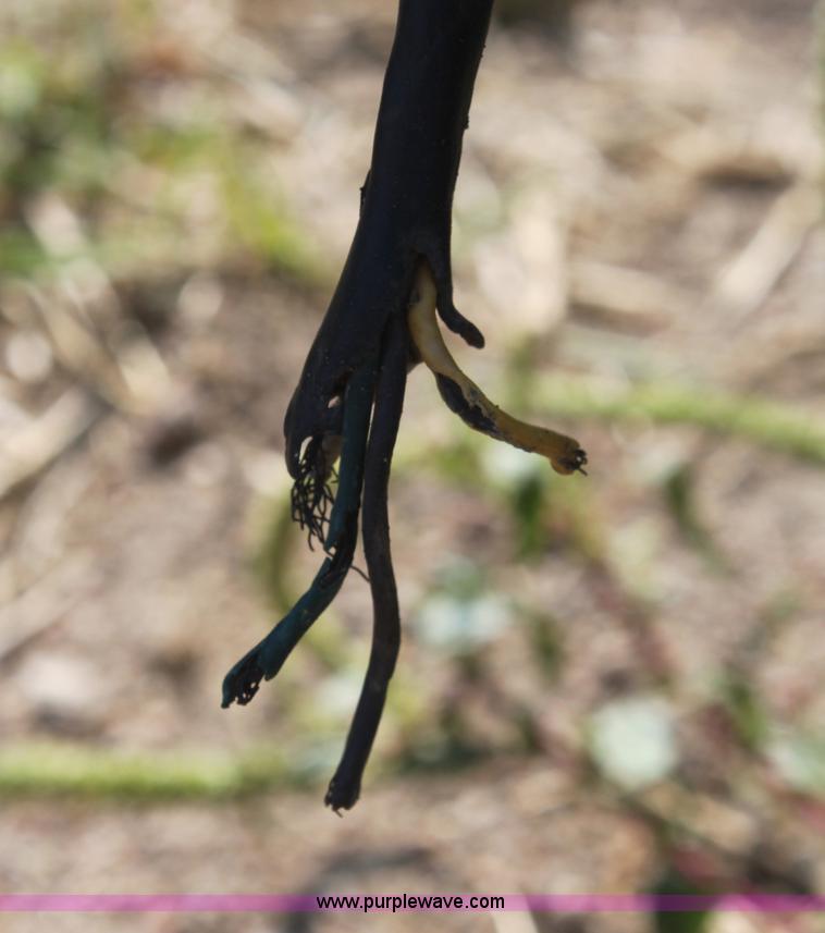 image for item G4633 John Deere 455 drill