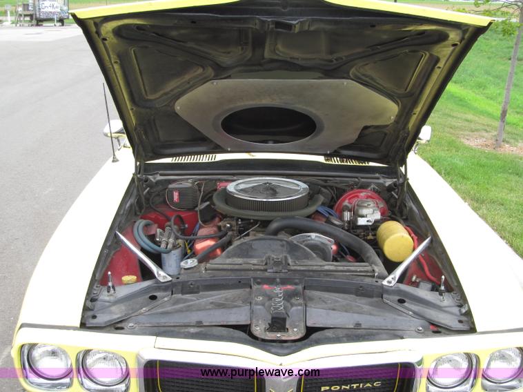 image for item F5509 1969 Pontiac Firebird