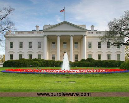 image for item B1564 VIP Tour of Washington, D.C. 